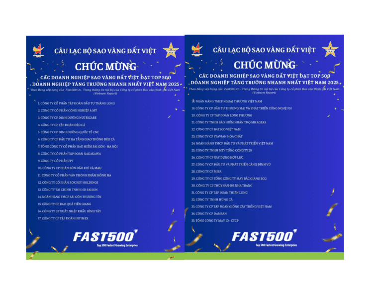 33 DOANH NGHIỆP SAO VÀNG ĐẤT VIỆT ĐẠT TOP500 DOANH NGHIỆP TĂNG TRƯỞNG NHANH NHẤT VIỆT NAM